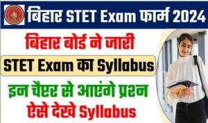 Bihar STET Exam Syllabus 2023