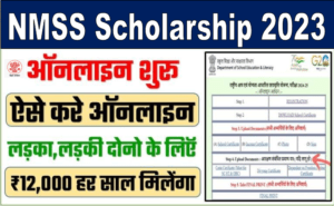 Bihar NMMS Scholarship 2024-25