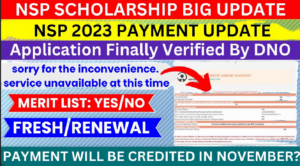 NSP Scholarship Payment Status Check 2023