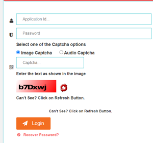 MOMA Scholarship 2024