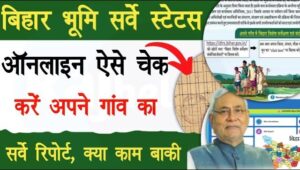Bihar Land Survey Status Check Online 2024