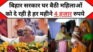 Bihar Samajik Suraksha Yojana 2024