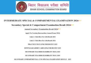 BSEB STET Result 2024