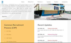 IBPS RRB Clerk Pre Result 2024