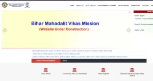 Bihar All District Vikas Mitra Vacancy 2024 - बिहार के सभी जिले में आई विकास मित्र की नई भर्ती, जाने आवेदन करने की संपूर्ण जानकारी Bihar All District Vikas Mitra Vacancy 2024